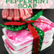 Quick-and-Easy-DIY-Peppermint-Soap-Holiday-Gift-Idea