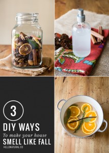 diy-ways-to-make-your-house-smell-like-fall