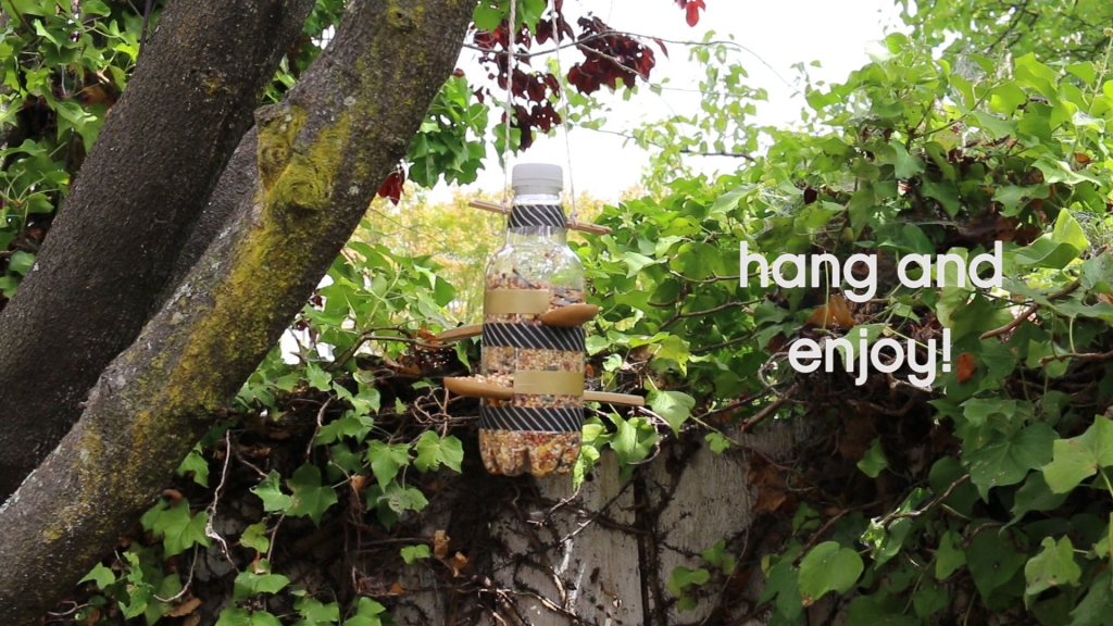 hang and enjoy
